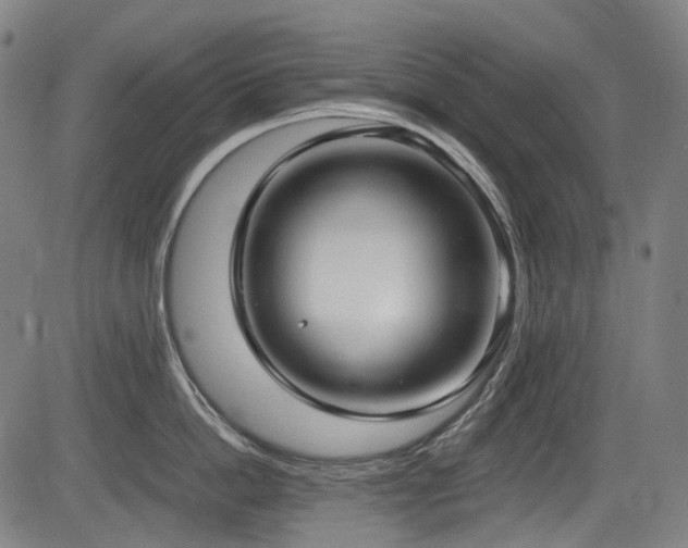 X0000083980862200702161102