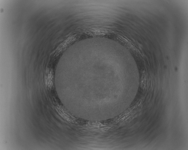 X0000083980866200702161101