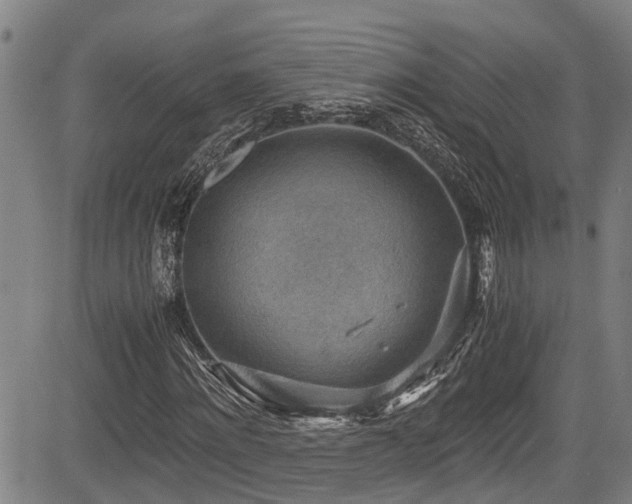 X0000083980868200702161101