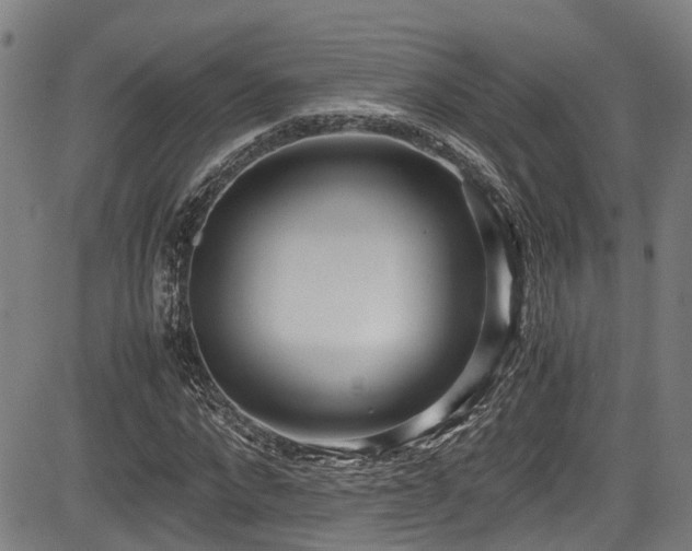 X0000083980872200702161101