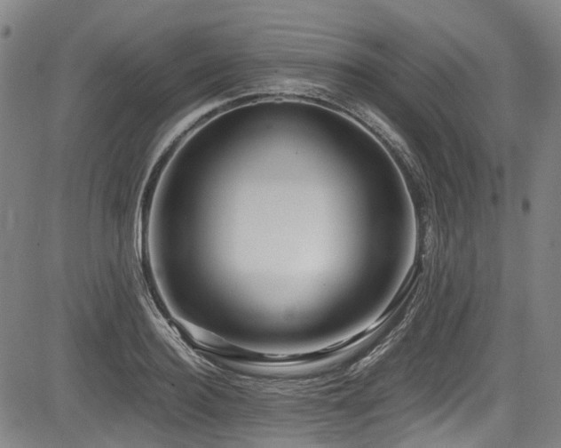 X0000083980940200702161100