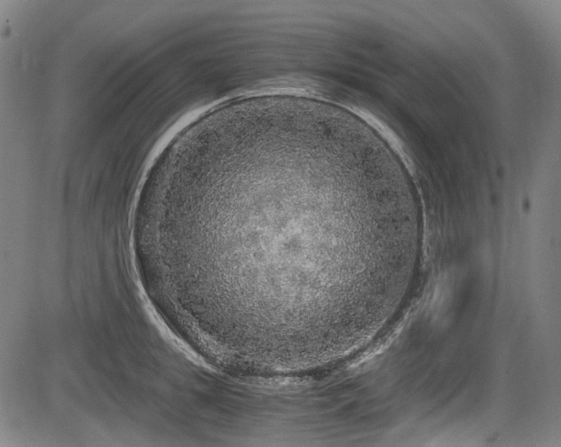 X0000083980949200702161100