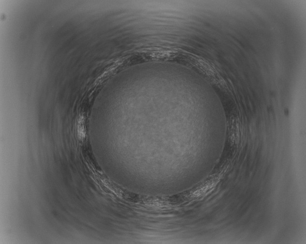X0000083980962200702161059