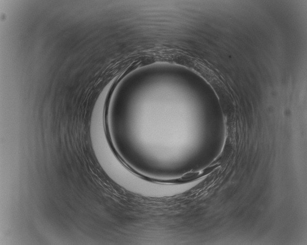 X0000083981010200702161058