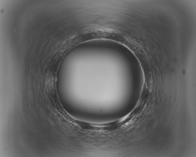 X0000083981061200702161058