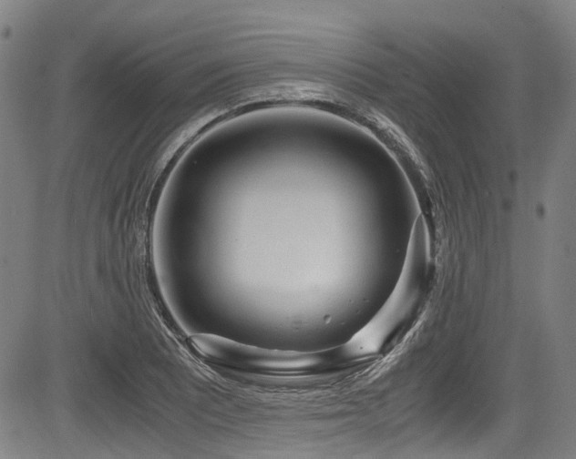 X0000083981081200702161058