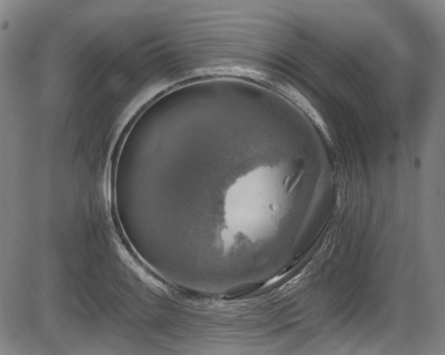 X0000083981084200702161057
