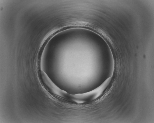 X0000083981085200702161057