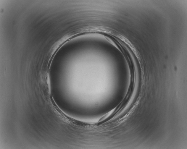 X0000083981089200702161057