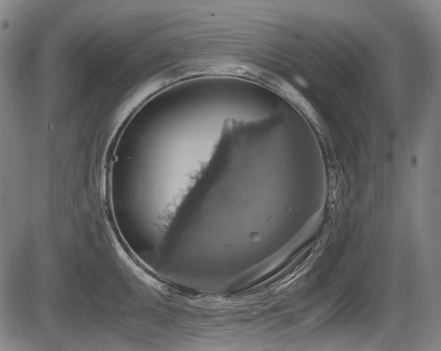 X0000083981095200702161057