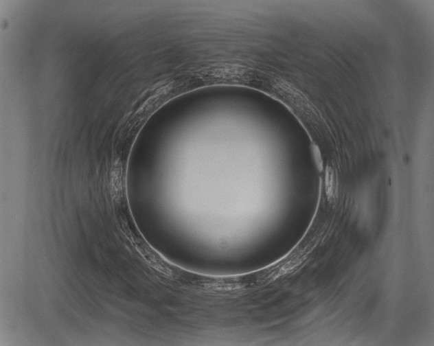 X0000083981107200702161056