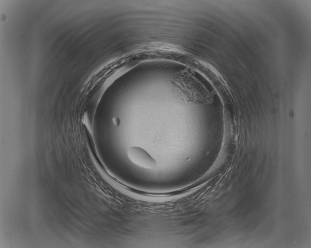 X0000083981112200702161056