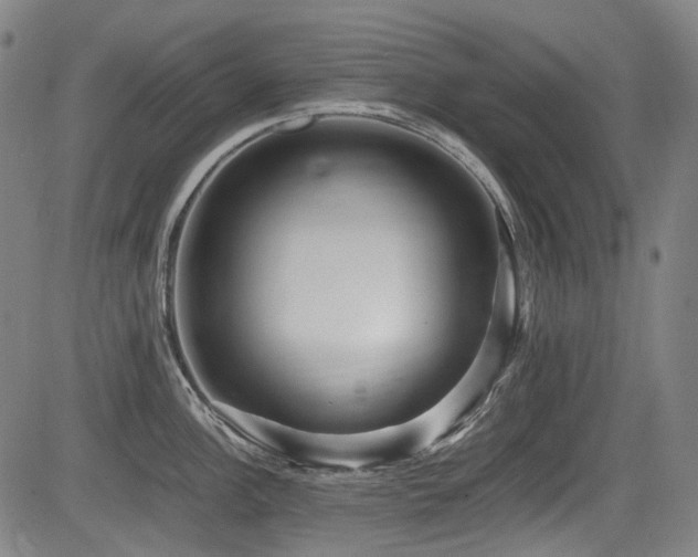 X0000083981148200702161057