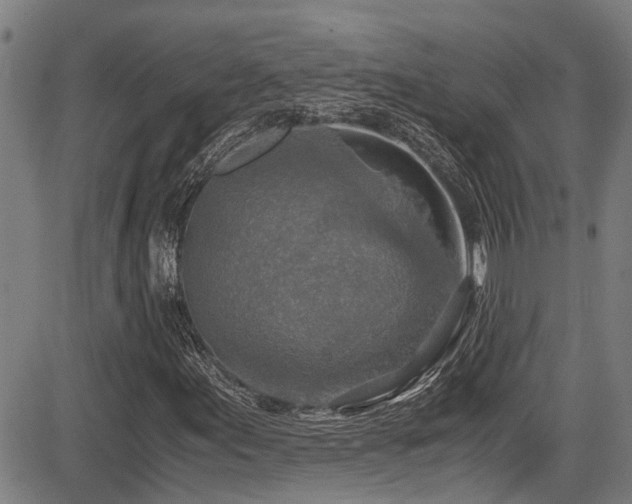 X0000083981155200702161056