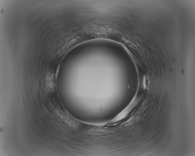 X0000083981156200702161056