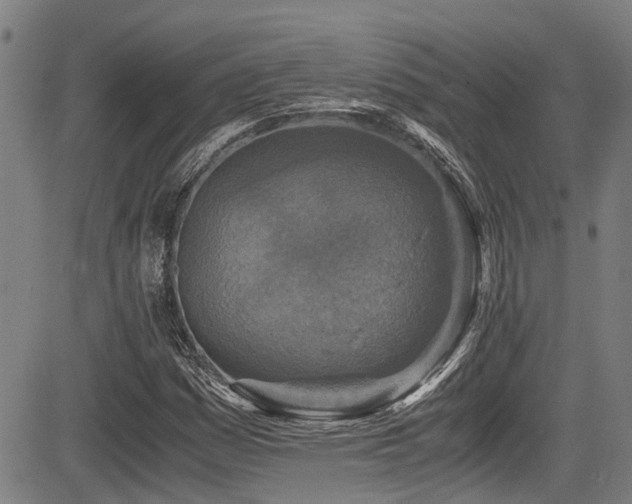 X0000083981161200702161056