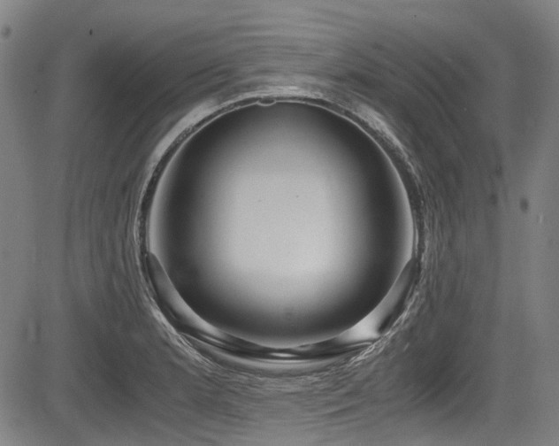 X0000083981181200702161056
