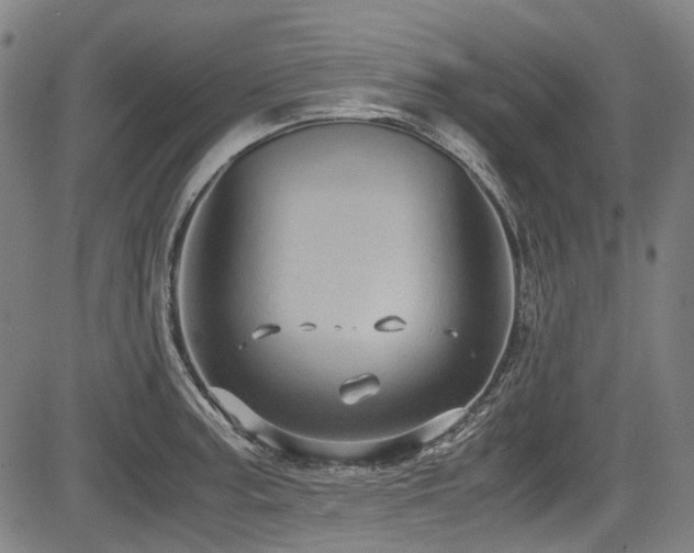 X0000083981187200702161056