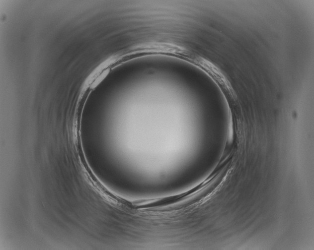 X0000083981188200702161056