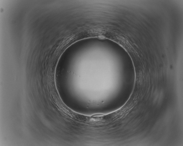 X0000083981201200702161055