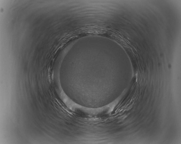 X0000083981202200702161055
