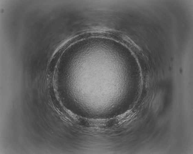 X0000083981208200702161055