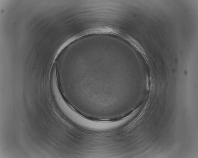 X0000083981226200702161055