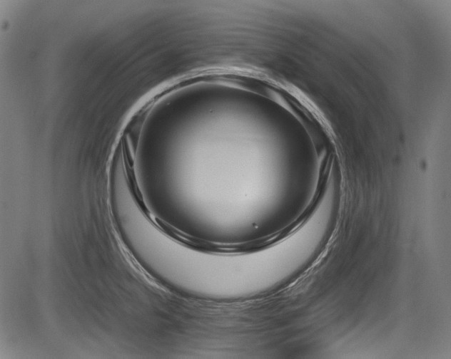 X0000083981238200702161055