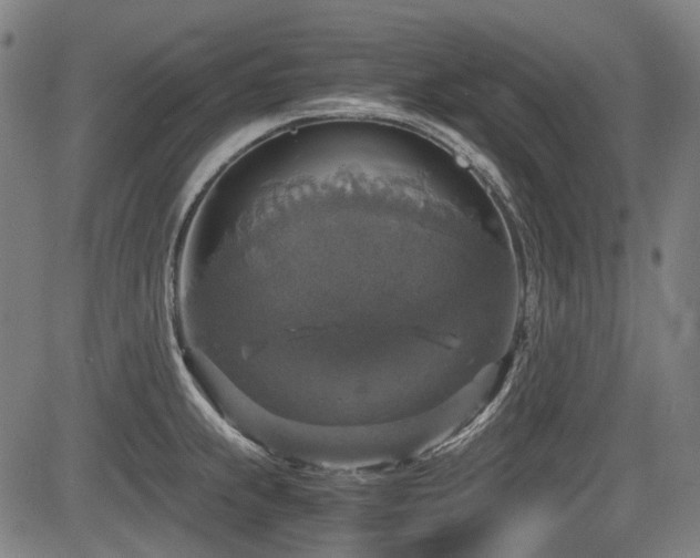 X0000083981239200702161055
