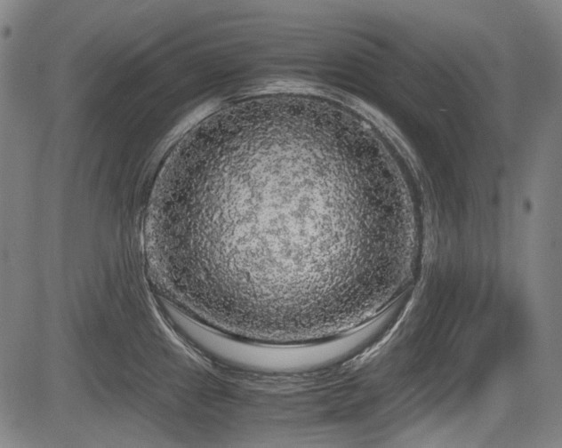 X0000083981241200702161055