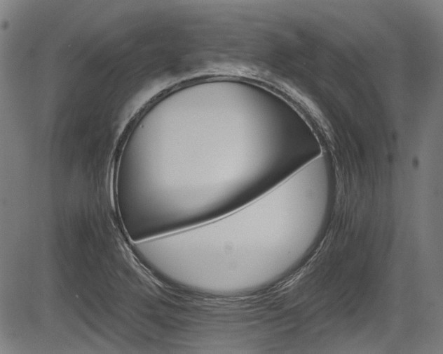 X0000083981272200702161054