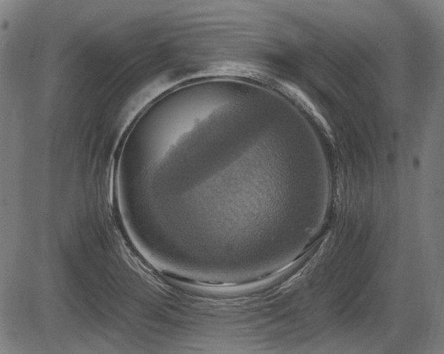 X0000083981276200702161054