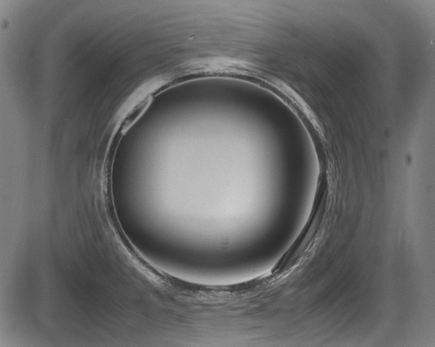 X0000083981285200702161054