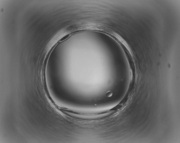 X0000083981293200702161054