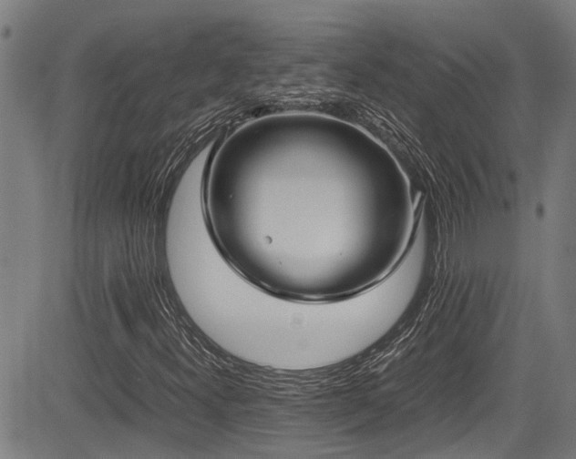 X0000083981300200702161053