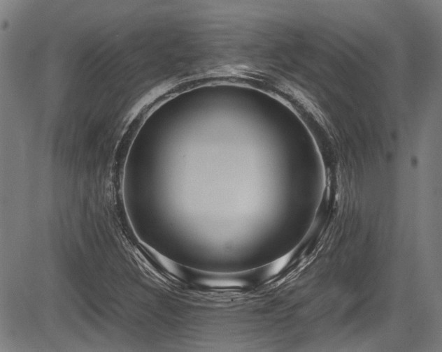 X0000083981308200702161053