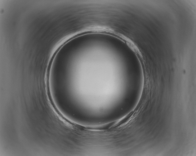 X0000083981343200702161054