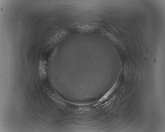 X0000083981346200702161053