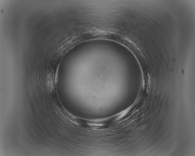 X0000083981348200702161053