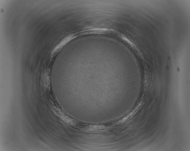 X0000083981354200702161053