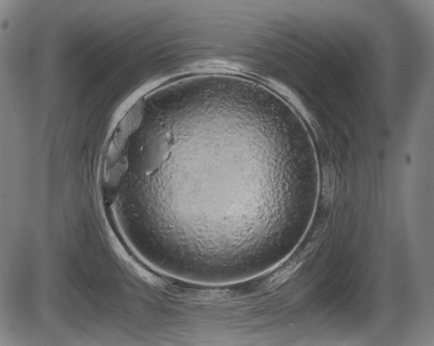 X0000083981387200702161053