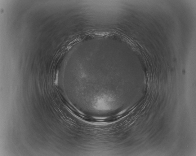 X0000083981394200702161052