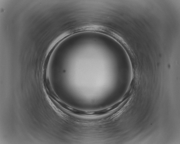 X0000083981426200702161052