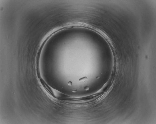 X0000083981438200702161052