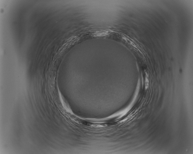 X0000083981441200702161052