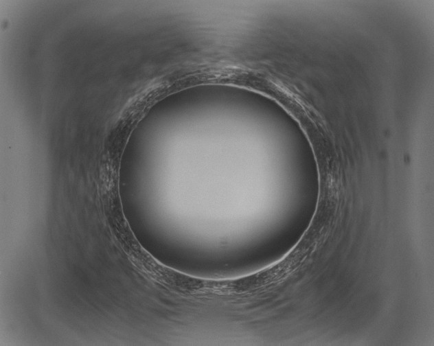 X0000083981447200702161052