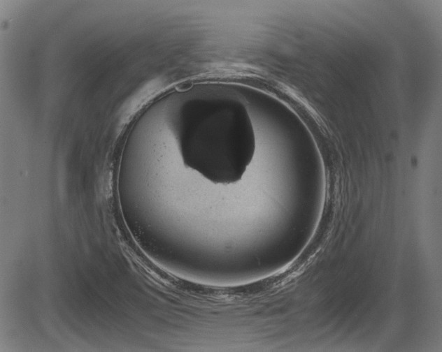 X0000083981459200702161051