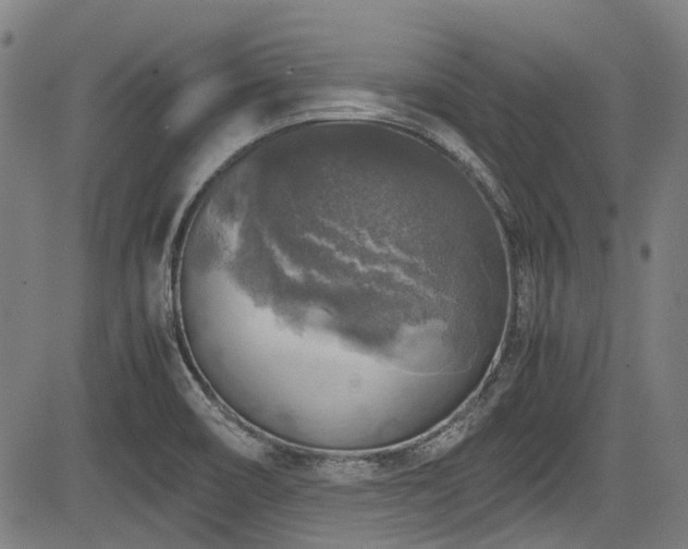 X0000083981466200702161051
