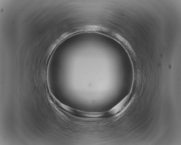 X0000083981473200702161051