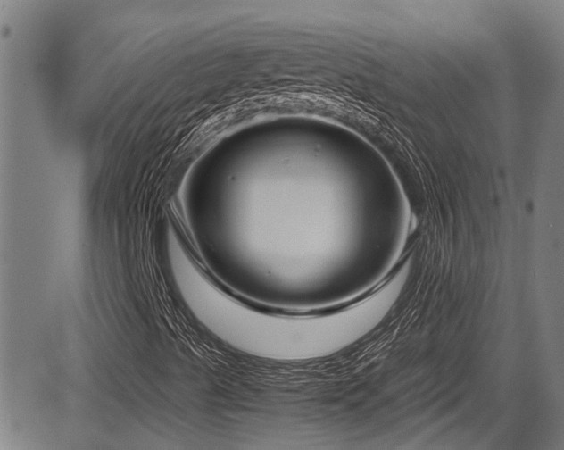 X0000083981489200702161050